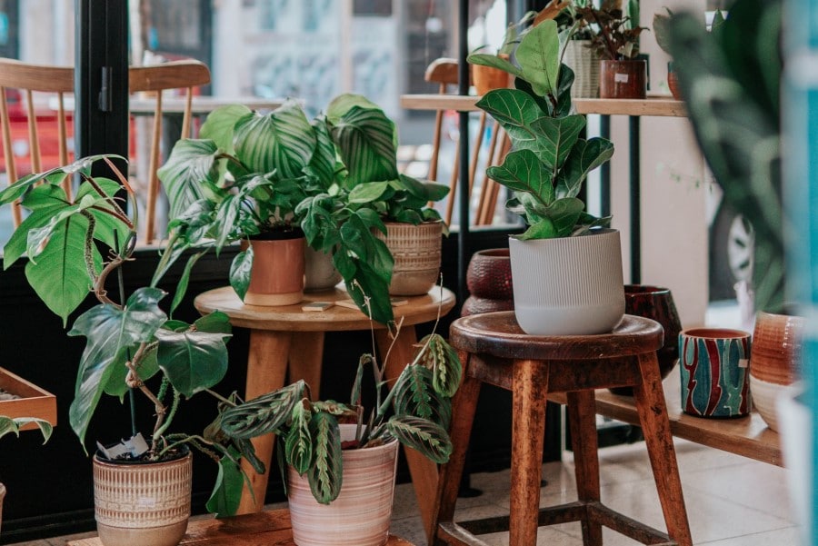 pots and planters