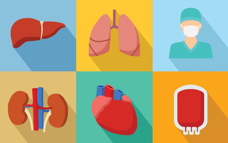 Gift of Life: Organ And Tissue Donation – A Life-Saving Act