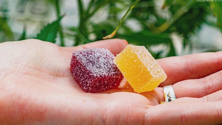What Makes THC Gummies a Standout Choice for a Delicious and Relaxing Slumber?