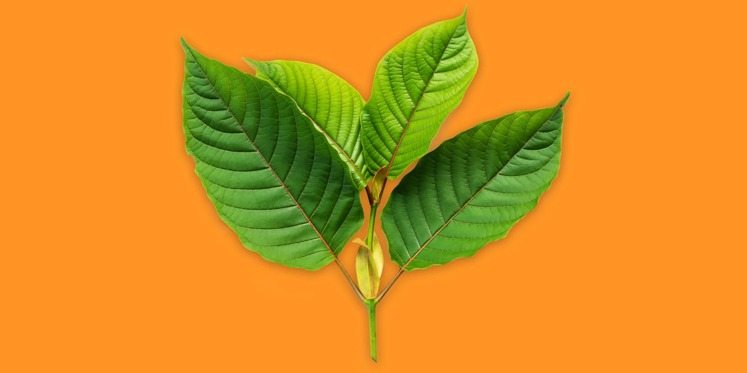 kratom benefits