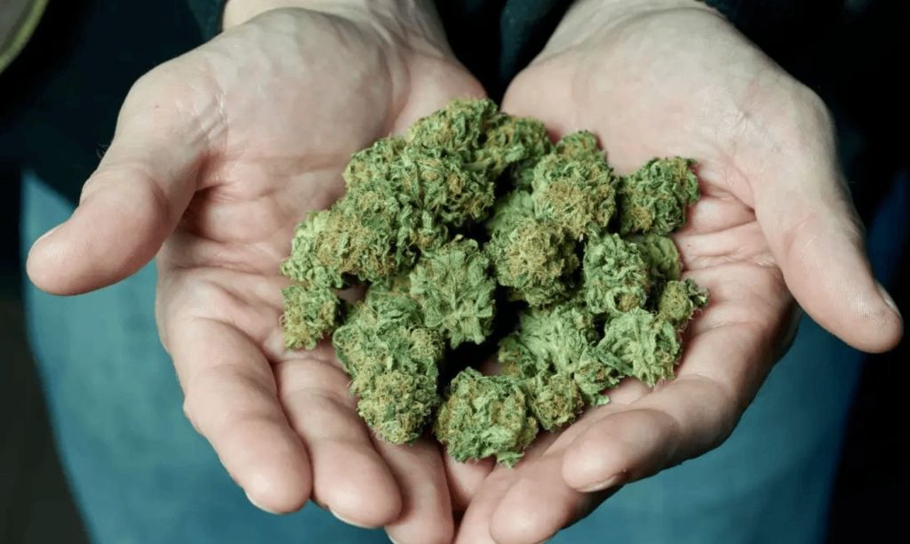 Premium Cannabis Store Canada