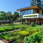 The Role of Community Hubs in Building Stronger Urban Connections and Social Engagement
